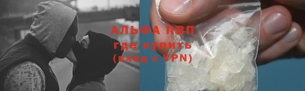 твердый Вяземский