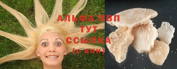 твердый Вяземский
