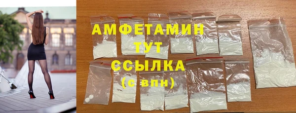 твердый Вяземский