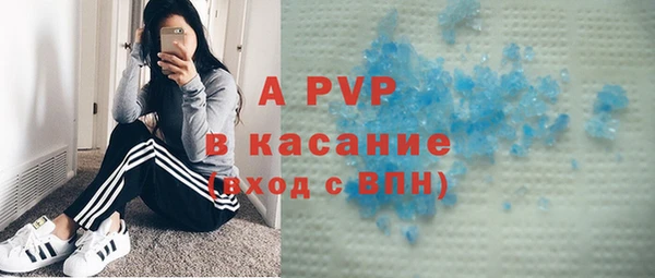 твердый Вяземский